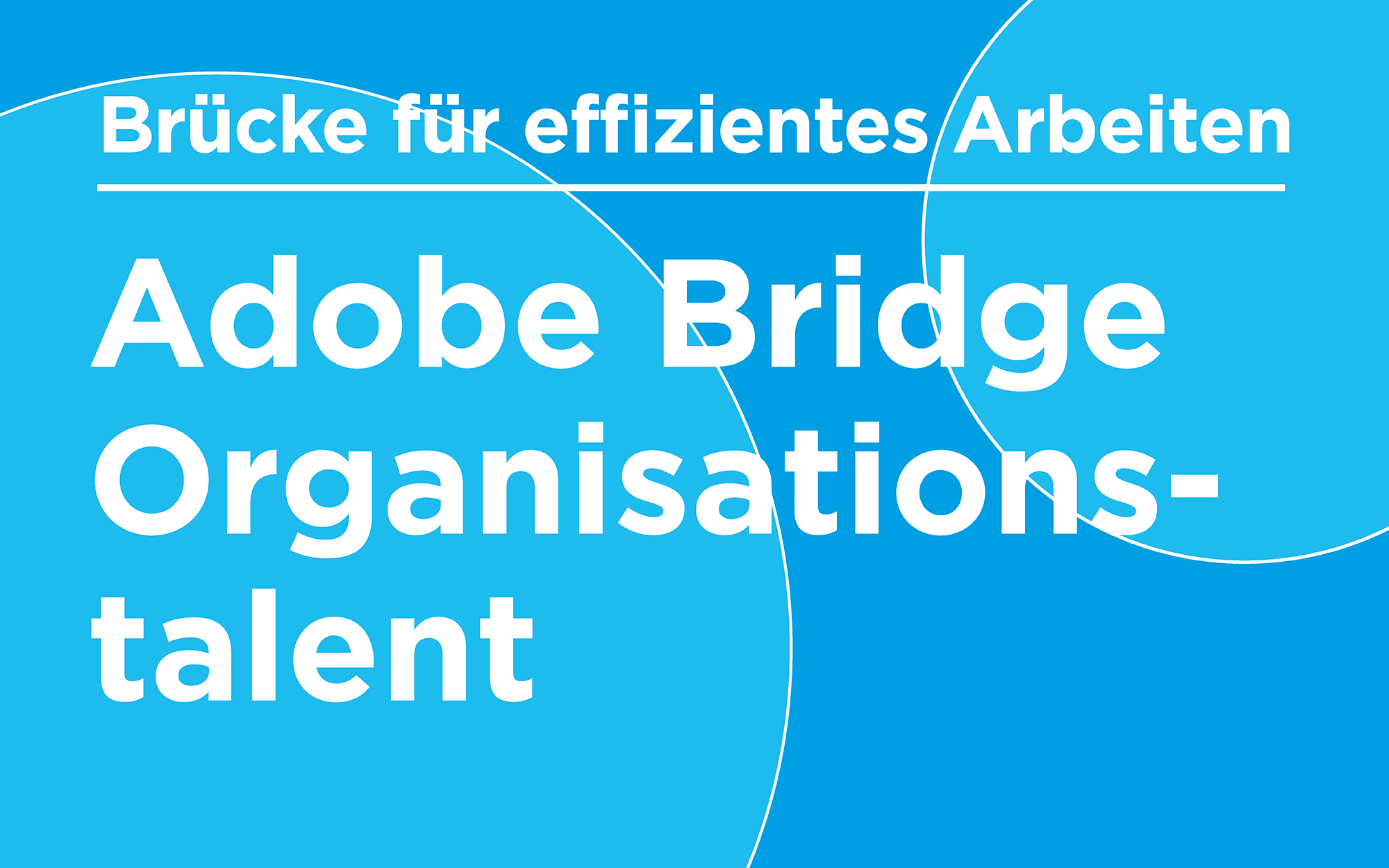 Adobe Bridge – die Brücke für effizientes Arbeiten